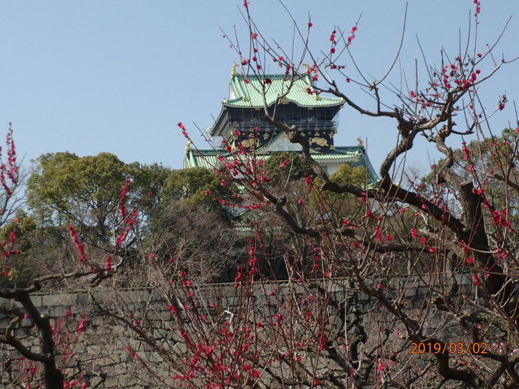 日本最古のため池「狭山池」よりも古い池が大阪に存在していた！